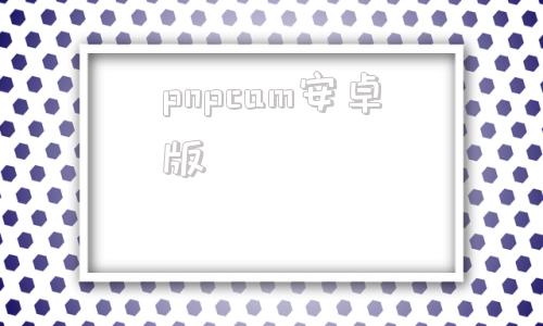 pnpcam安卓版p2pipcamera手机软件下载